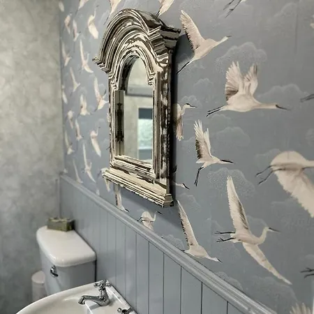 Memory Lane Carlingford *